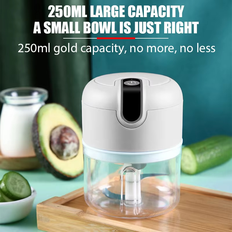 250ML electric meat grinder, g - Fruit Slot Machine avis et prix