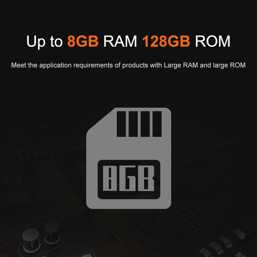 Liontron RK3566 DDR4 8GB RAM A - Open Vending Machine avis et prix