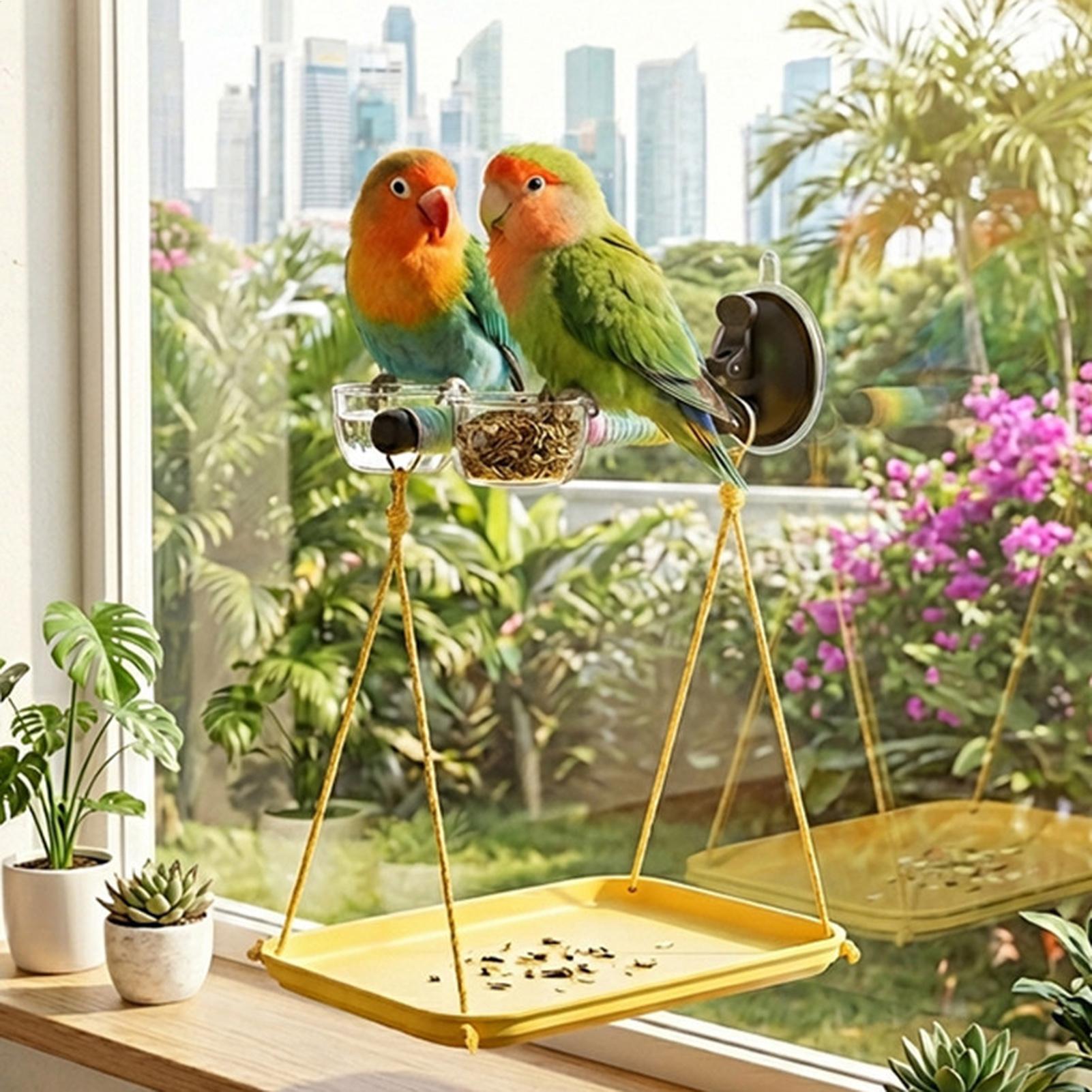 Bird Perch with Suction Cup an - Racing Arcade Cabinet avis et prix